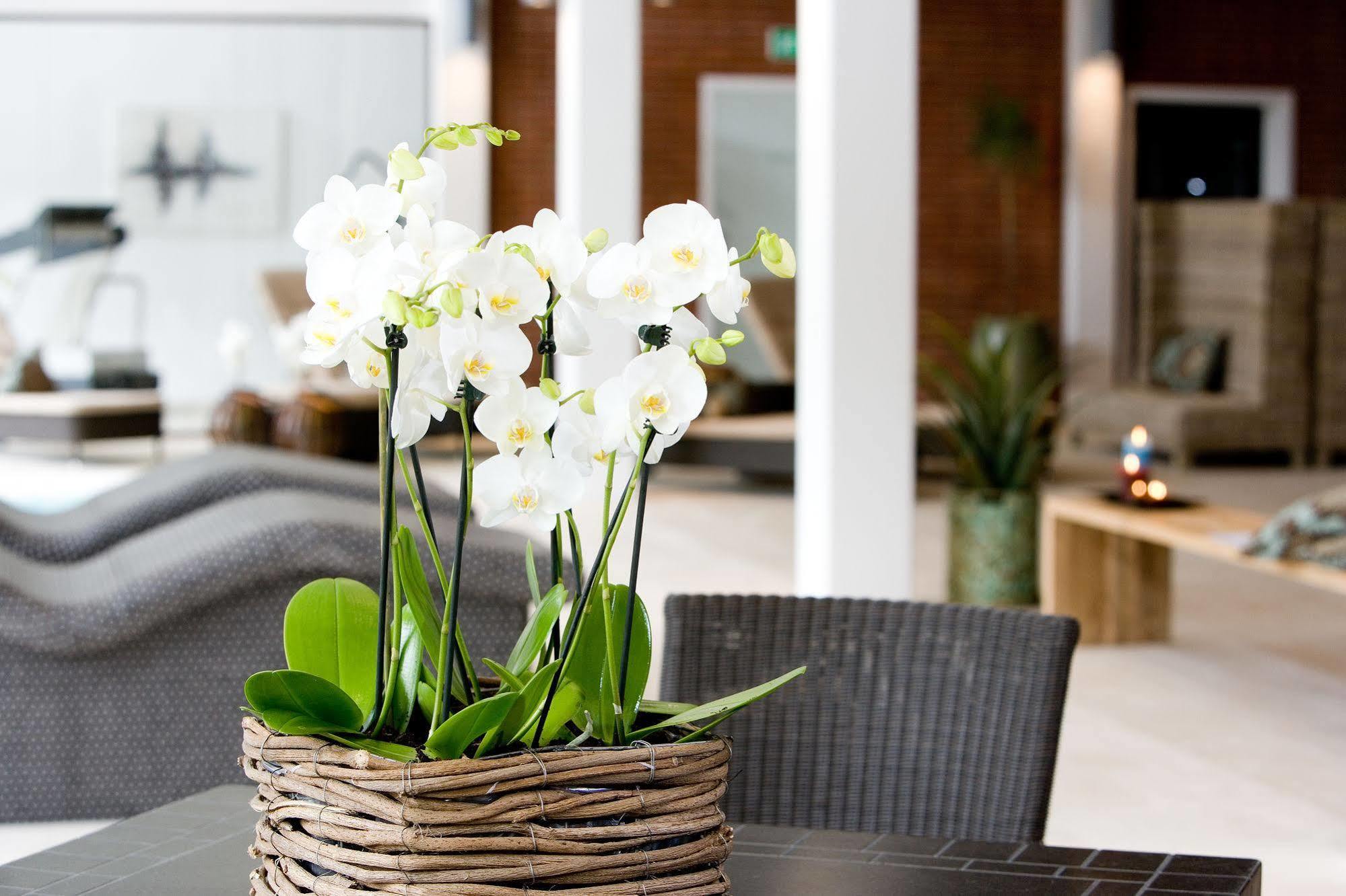 Hotel Hesselet นีบอร์ก ภายนอก รูปภาพ